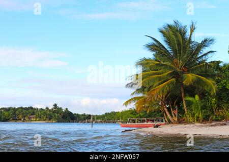 La belle plage dans la baie de Camamu, dans la municipalité de Camamu, au sud de l'état de Bahia, au nord-est du Brésil. Banque D'Images