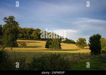 Heure d'or à Wells, campagne. Banque D'Images