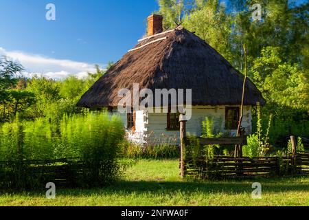 L'ancienne maison de campagne traditionnelle, toit de chaume, Podlasie région, la Pologne, l'Europe. Banque D'Images