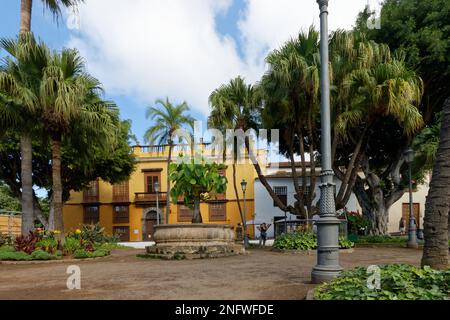 Petite ville de Icod de los Vinos, qui abrite un arbre de dragon emblématique et des tunnels de lave. Banque D'Images