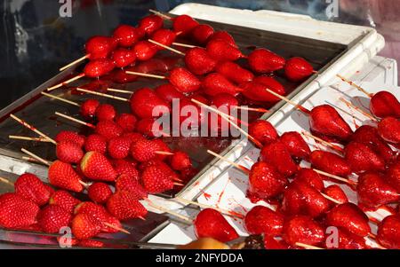 brochettes de grandes fraises rouges mûres caramélisées avec sucre sur le dessus pour la vente dans la caniculture Banque D'Images