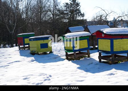 des rangées de vieilles ruches en bois recouvertes de neige le jour d'hiver ensoleillé Banque D'Images