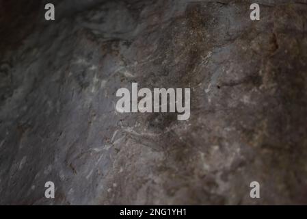 Dessin de roche de personnes anciennes petroglyph sur le mur d'une grotte de personnes en Sibérie. Banque D'Images