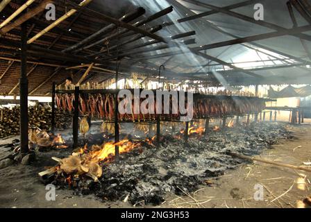 Les viandes de thon à la chair sont fumées en utilisant des coques de noix de coco comme combustible dans une industrie domestique à Bitung, au nord de Sulawesi, en Indonésie. Selon la FAO, dans son dernier rapport (2022), l'Indonésie est le troisième producteur mondial de la production d'animaux aquatiques dans le domaine de la pêche et de l'aquaculture. Cinq pays — la Chine, l'Inde, l'Indonésie, le Vietnam et le Pérou — sont responsables d'environ 58 pour cent de la production mondiale. L'Indonésie est également l'un des pays où les aliments aquatiques contribuent à la moitié ou plus de l'apport total en protéines animales, selon le rapport. Banque D'Images