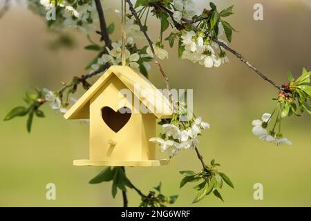 Maison d'oiseau jaune avec trou en forme de coeur suspendu de branche d'arbre à l'extérieur Banque D'Images