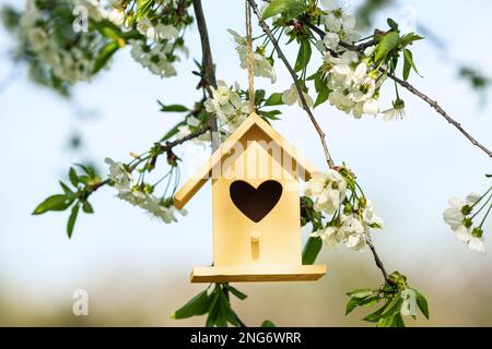 Maison d'oiseau jaune avec trou en forme de coeur suspendu de branche d'arbre à l'extérieur Banque D'Images