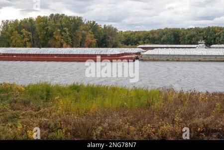 Barges sur le fleuve Mississippi lors d'une soirée d'automne à Winona, Minnesota, États-Unis. Banque D'Images