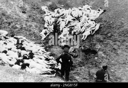 La première phase de l'Holocauste n'était pas avec des chambres à gaz mais des escadrons mobiles d'exécution connus sous le nom d'Enisatzgruppen. Leur tâche était de se promener derrière les lignes de front de teh, en tirant tous les Juifs qu'ils pouvaient. Cette photo répulsive montre un policier allemand se préparant à terminer l'exécution de masse de Mizocz en tirant deux enfants juifs, le 14 octobre 1942 Banque D'Images