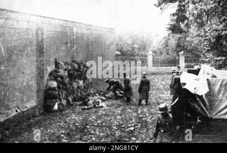 La première phase de l'Holocauste n'était pas avec des chambres à gaz mais des escadrons mobiles d'exécution connus sous le nom d'Enisatzgruppen. Leur tâche était de se promener derrière les lignes de front de teh, en tirant tous les Juifs qu'ils pouvaient. Ils ont tué environ deux millions de personnes. Cette photo montre des Allemands assassiner des civils polonais à Leszno, en Pologne, le 21 octobre 1939. Banque D'Images