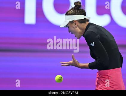 Doha, Qatar. 17th févr. 2023. Veronika Kudermetova de Russie réagit lors du match des demi-finales célibataires contre IGA Swiatek de Pologne au WTA500 Qatar Open 2023 à Doha, Qatar, le 17 février 2023. Credit: Nikku/Xinhua/Alay Live News Banque D'Images