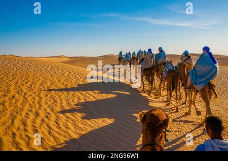 Caravane de chameaux dans le désert du Sahara en Tunisie, l'Afrique. Banque D'Images