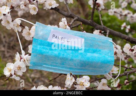 Le mot anglais pause sur une feuille se trouve sur un masque médical qui est accroché sur les branches d'abricot au printemps pendant Banque D'Images