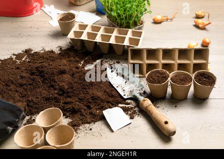 Pots Écologiques Pour Planter Des Graines, Sac En Papier Avec Truelle Et  Râteaux De Sol Et De Jardin, Graines De Tomates, Un Homme Plante Des Semis  À La Maison Banque D'Images et