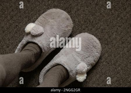 jambes d'une fille en collants chauds et chaussons gris doux et chauds sur un tapis gris à la maison, une vue de haut en bas Banque D'Images