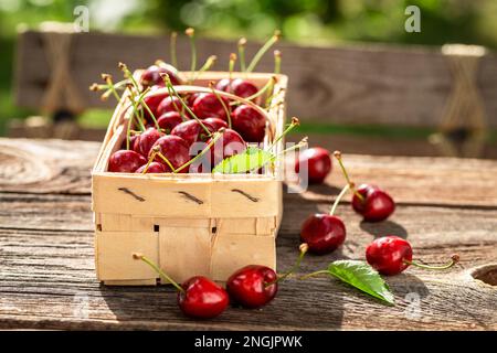 Cerises douces mûres et juteuses en punnet en bois. Fruits fraîchement cueillis dans l'arbre. Banque D'Images