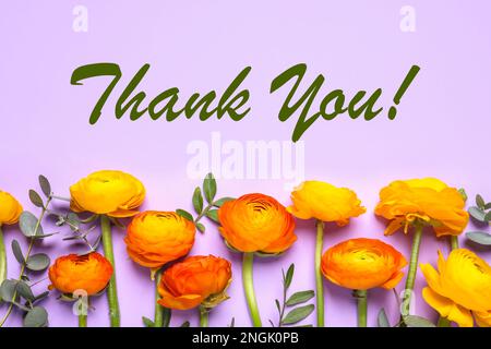 Beau ranunculus fleurs et texte Merci sur fond lilas, plat. Carte de vœux Banque D'Images