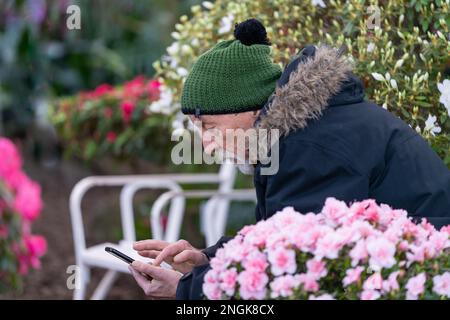 Actifs de 60 ans. Homme visitant Palmenhaus Schönbrunn et partageant son expérience sur les médias sociaux Banque D'Images