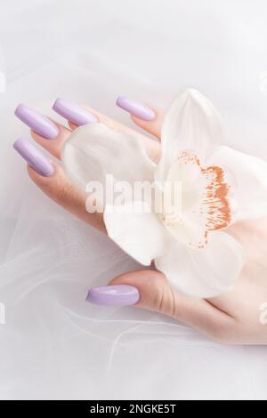 Mains de fille avec manucure pourpre délicate et fleurs d'orchidées. Le concept de beauté et de soins du corps. Banque D'Images