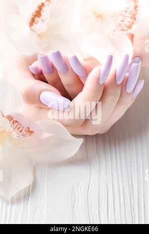 Mains de fille avec manucure pourpre délicate et fleurs d'orchidées. Le concept de beauté et de soins du corps. Banque D'Images