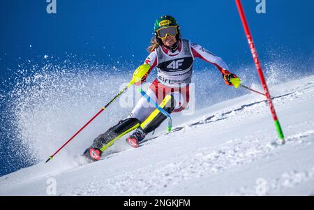 Courchevel, France. 18th févr. 2023. Ski alpin: Championnat du monde, Slalom, femmes, 1st course: Katharina Liensberger de l'Autriche en action. Credit: Michael Kappeller/dpa/Alay Live News Banque D'Images