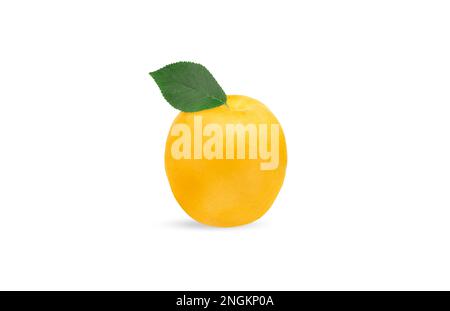 Abricot frais avec feuille isolée sur fond blanc. Fruits jaunes d'été Banque D'Images