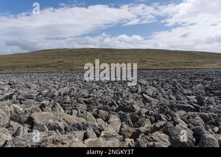 Des pierres sont en cours à l'extérieur de Stanley - les îles Falkland Banque D'Images