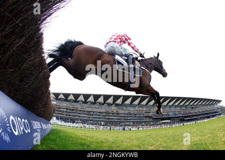 Bold Endeavour criblé par le jockey Nico de Boinville pendant les bateaux Londres Reynoldstown novices' Chase à l'hippodrome d'Ascot, Berkshire. Date de la photo: Samedi 18 février 2023. Banque D'Images