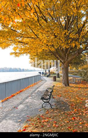 Les gens se détendent sur un banc dans un parc près de la rivière en automne sous des arbres colorés par une journée ensoleillée. Personnes détendant sur un banc dans un parc sous le Banque D'Images