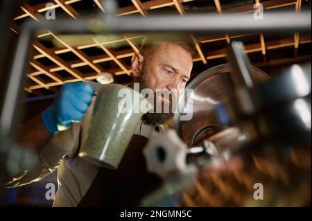 Brasseur ajoutant de la fermentation avec de la levure ou sautez dans le réservoir à bière Banque D'Images