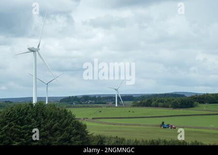 Éoliennes vues dans un paysage agricole Banque D'Images