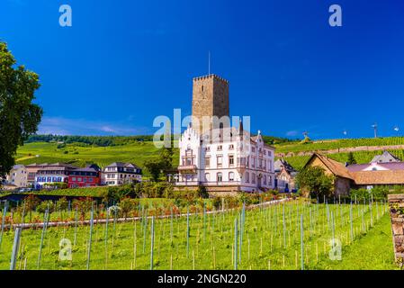 Château de Boosenburg Château d'Oberburg à Ruedesheim am Rhein Rhin, Rudesheim, Rheingau-Taunus-Kreis, Darmstadt, Hesse, Allemagne. Banque D'Images