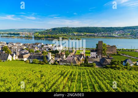 Broemserburg et Château de Boosenburg Château d'Oberburg à Ruedesheim am Rhein Rhin, Rudesheim, Rheingau-Taunus-Kreis, Darmstadt, Hesse, Allemagne. Banque D'Images