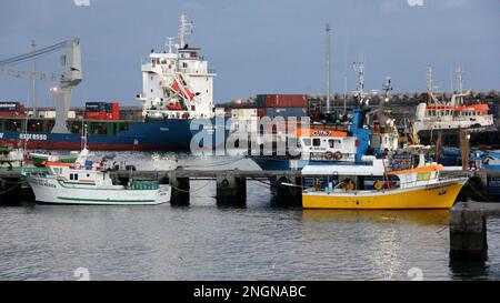 Petits bateaux de pêche colorés amarrés à la jetée du port de pêche, Ponta Delgada, Sao Miguel, Açores, Portugal Banque D'Images