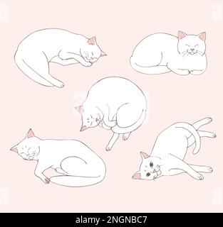 Le joli chat blanc se trouve dans différentes positions. Ensemble de positions de chat. Pose de chat. Chats. Esquisse. Illustration vectorielle Illustration de Vecteur