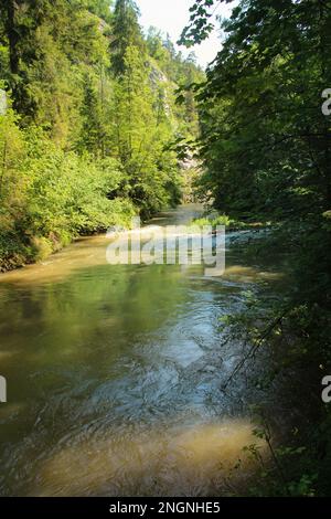 La rivière traverse les zones du parc national du Paradis slovaque. Slovaquie Banque D'Images