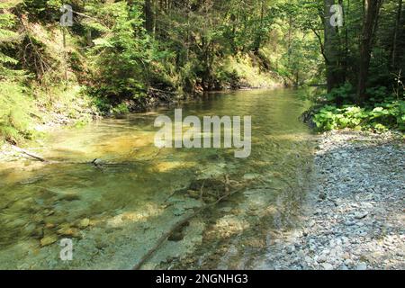 La rivière traverse les zones du parc national du Paradis slovaque. Slovaquie Banque D'Images