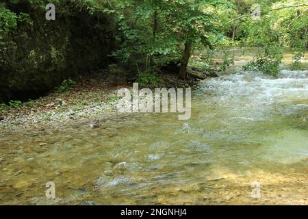 La rivière traverse les zones du parc national du Paradis slovaque. Slovaquie Banque D'Images