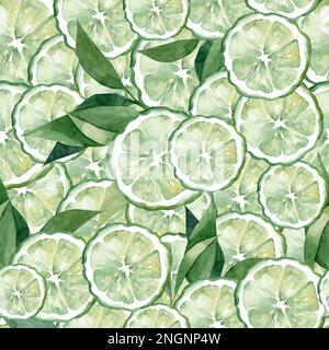 Motif aquarelle sans couture de tranches de bergamote. Agrumes. Motif pour tissu et papier Banque D'Images