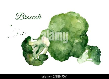 Brocoli frais dans un bol en bois. Peinture aquarelle dessinée à la main isolée sur fond blanc Banque D'Images