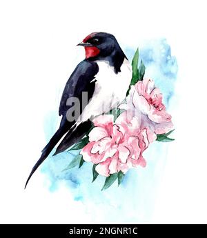 Aquarelle illustration d'une hirondelle et de pivoines sur fond bleu aquarelle. Ressort. Jour de l'oiseau. Banque D'Images