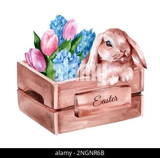 Boîte en bois avec des tulipes roses délicates et un joli lapin. Illustration représentant l'aquarelle du printemps de Pâques dessinée à la main Banque D'Images