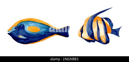 Ensemble d'illustrations aquarelles de poissons sur fond blanc. Poissons d'aquarium, monde sous-marin exotique. Poissons de récif de corail. Poissons d'aquarium. Banque D'Images