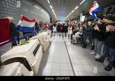SCHIPHOL - membres des équipes néerlandaises des organisations coopérantes de chiens de secours (SRO) à leur retour aux pays-Bas à l'aéroport de Schiphol. L'équipe a contribué à la recherche de survivants de séismes majeurs en Turquie et en Syrie dans la région turque de Hatay au cours de la semaine dernière. ANP EVERT ELZINGA pays-bas sortie - belgique sortie Banque D'Images