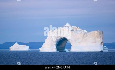 Tôt le matin, lumière sur d'énormes icebergs du Ilulissat Icefjord flottant dans la mer entourant Ilulissat, Groenland. Banque D'Images
