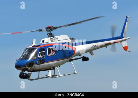 Tokyo, Japon - 11 août 2021 : hélicoptère Akagi Eurocopter AS350B1 Ecureuil (JA9731) hélicoptère utilitaire léger. Banque D'Images