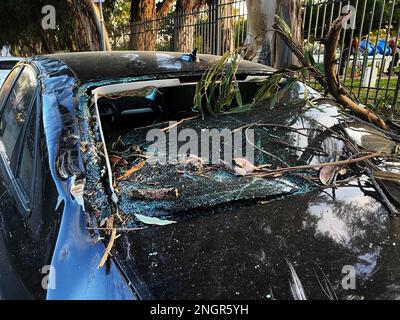 Une voiture endommagée par un arbre tombé Banque D'Images