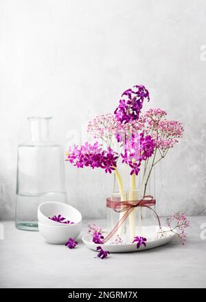 Encore la vie avec un bouquet de fleurs de jacinthe violette fraîche et de fleurs de gitsophila rose dans un vase en verre. Décoration de fleuriste ou concept de décoration d'intérieur. Banque D'Images