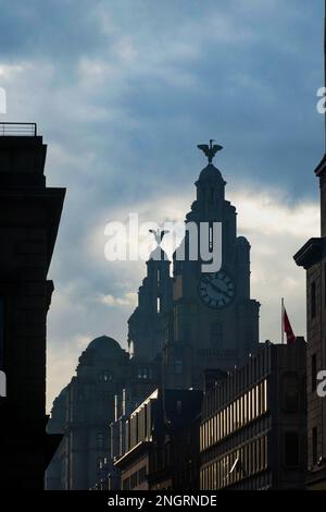 Les deux tours d'horloge sur le Royal Liver Building à Liverpool Banque D'Images