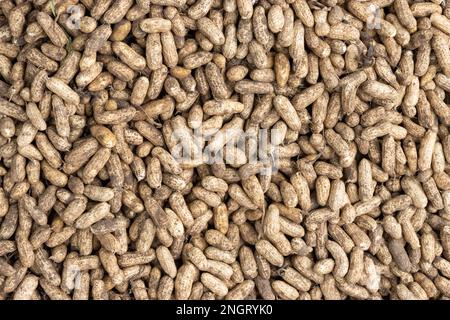 Pile d'arachides dans leurs coquilles en vente le long des rues au Sri Lanka. Banque D'Images