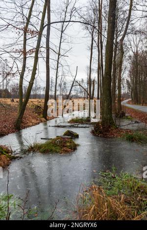 Piscine gelée avec arbres et route au-dessus pendant l'hiver près des ruines du château Heflstyn en République tchèque Banque D'Images